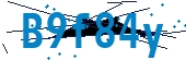 recaptcha
