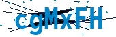 recaptcha
