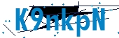 recaptcha
