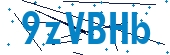 recaptcha