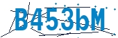recaptcha