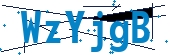 recaptcha