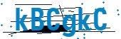 recaptcha