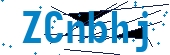 recaptcha