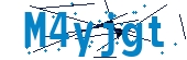 recaptcha