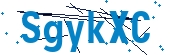 recaptcha