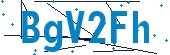 recaptcha