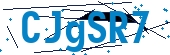 recaptcha