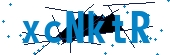 recaptcha