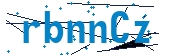recaptcha