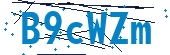 recaptcha