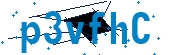 recaptcha