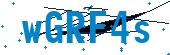 recaptcha