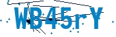 recaptcha