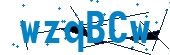 recaptcha