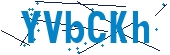 recaptcha